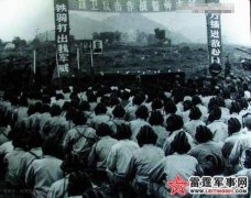 ����һ���߾����Ҿ�̹�˲����ڶ�Խ��ս�е���ʵ��ͷ